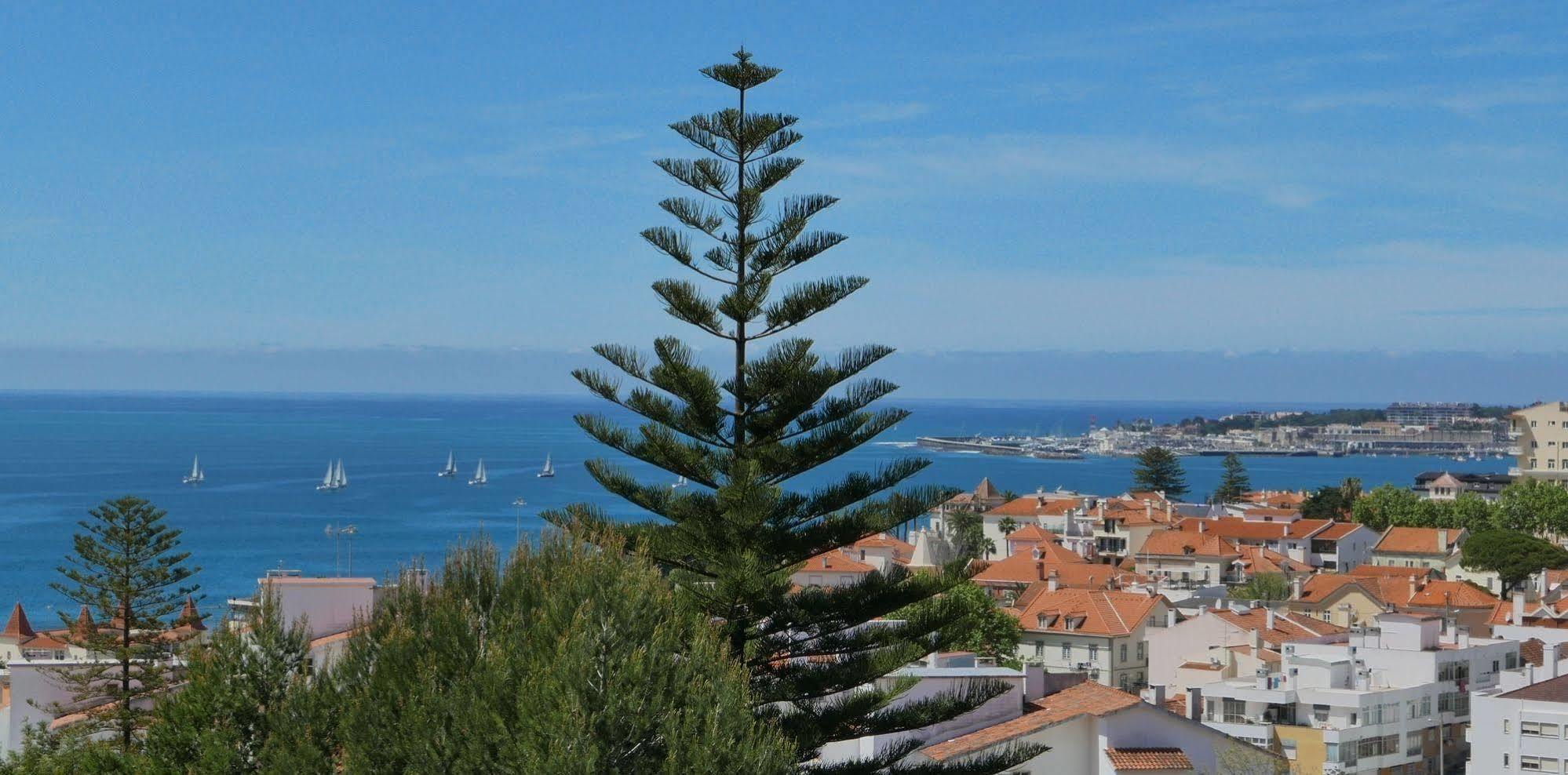 Dolce Vita Guesthouse Estoril Ngoại thất bức ảnh
